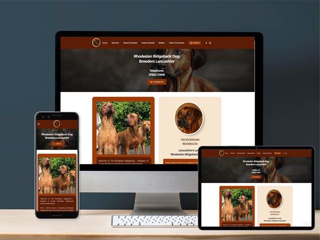 website-analytics-9