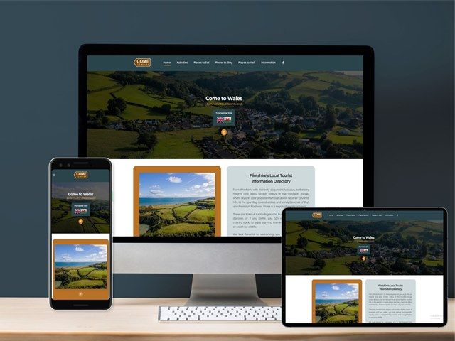 website-analytics-3